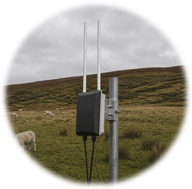 Network infrastructure