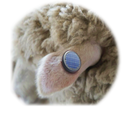 Sensor technology
